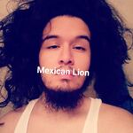 Biserr - kik username