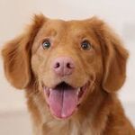 tbraylon121 - kik username