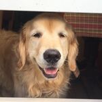 Will - snapchat username