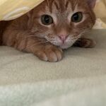 Crash - snapchat username