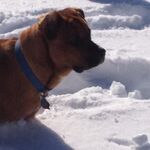 Jason - snapchat username