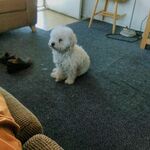 Jmarkez17 - instagram username