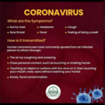 wikiwiki - instagram username