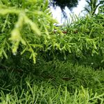 Jose - instagram username