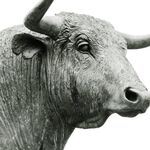 Grizzly  - instagram username