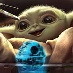 salihrahman2869 - kik username