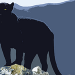 nzach40 - snapchat username