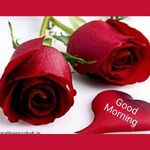 Itsyuvi - kik username