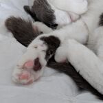 Fancydude - snapchat username