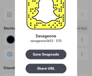Savageone3653