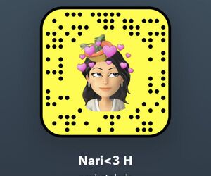 navi_stolaris